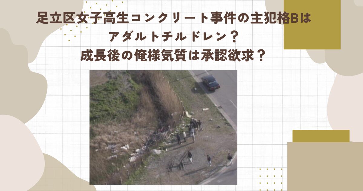 足立区女子高生コンクリ殺人事件の主犯格Bはアダルトチルドレン？成長後の俺様気質は承認欲求？