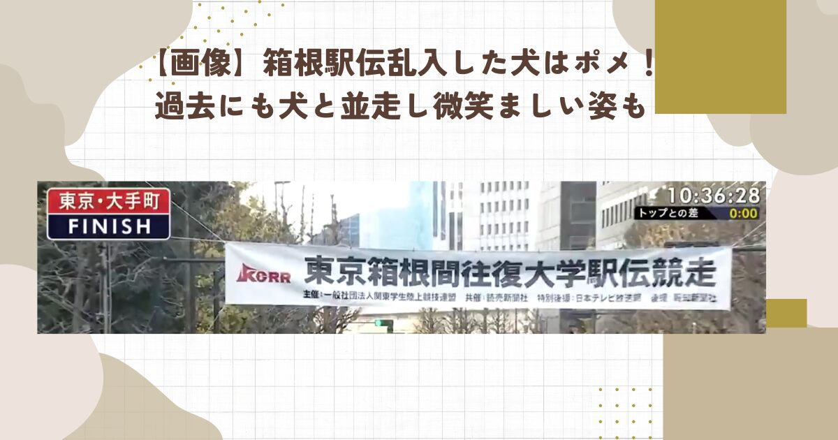 【画像】箱根駅伝乱入した犬はポメ！過去にも犬と並走し微笑ましい姿も